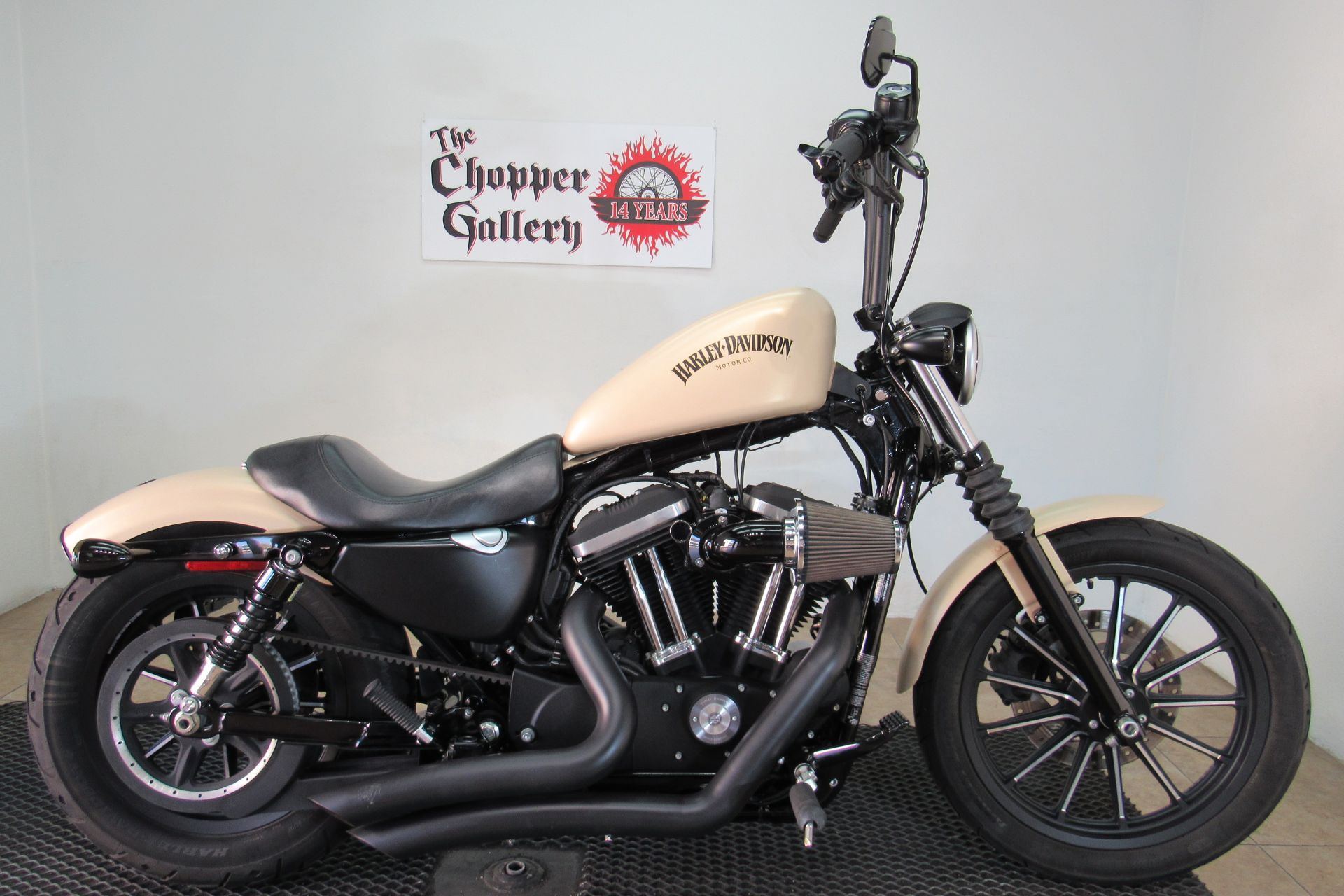 2015 Harley-Davidson Iron 883™ in Temecula, California - Photo 1