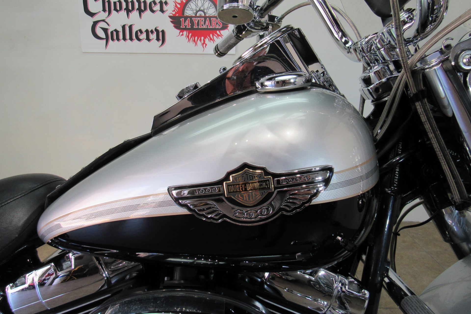2003 Harley-Davidson Heritage Anniversary in Temecula, California - Photo 7