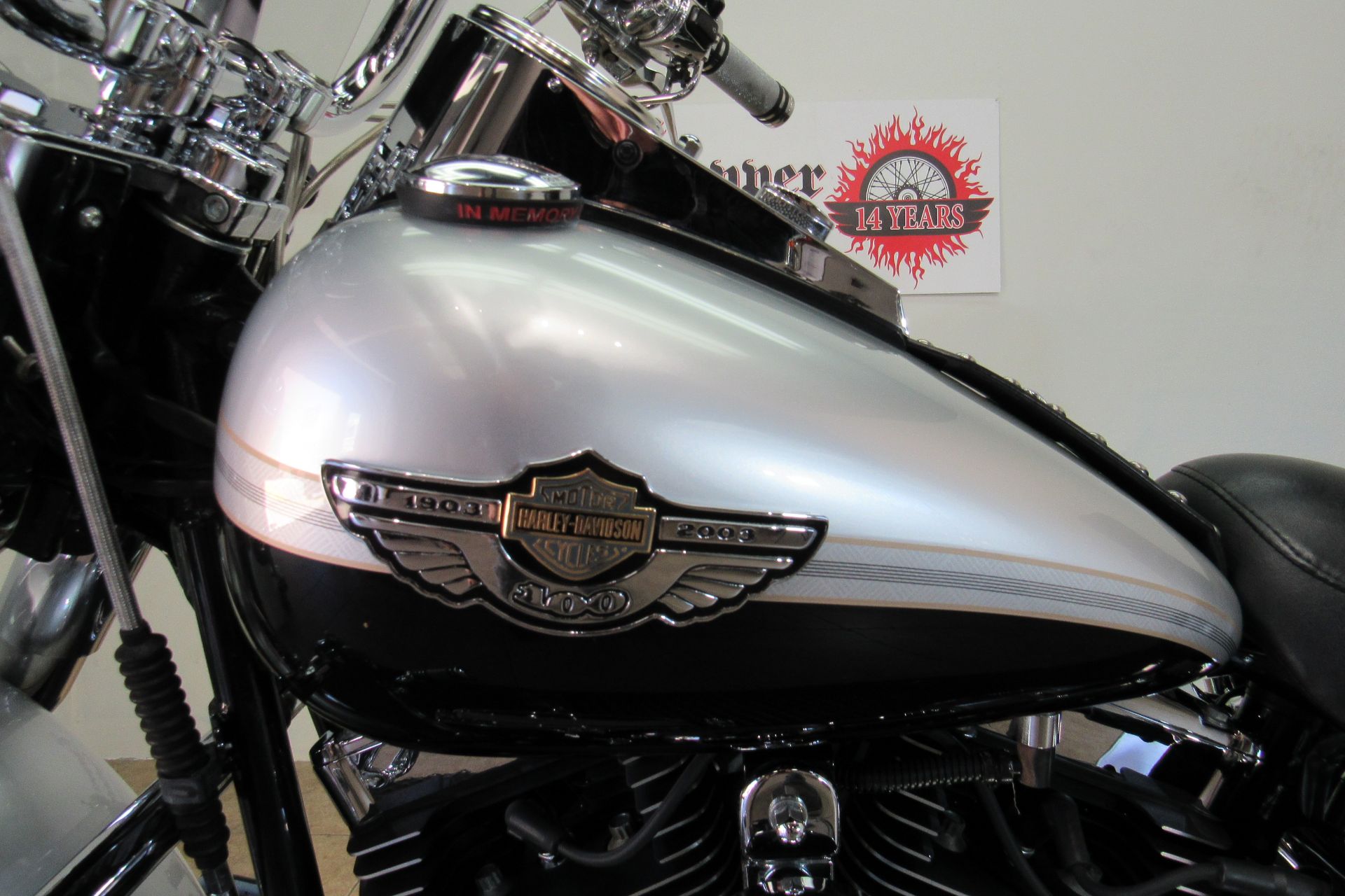 2003 Harley-Davidson Heritage Anniversary in Temecula, California - Photo 8