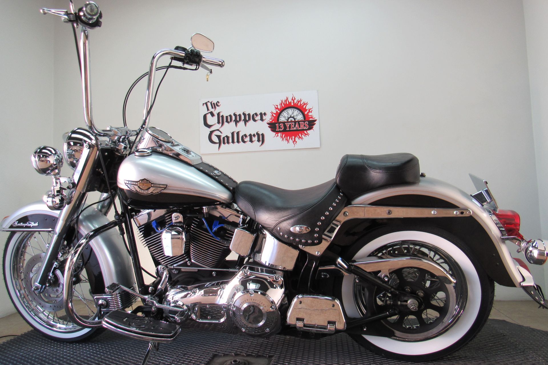 2003 Harley-Davidson Heritage Anniversary in Temecula, California - Photo 6