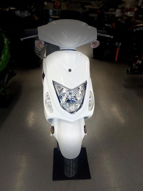 2021 Wolf Brand Scooters RX 50 in Wytheville, Virginia - Photo 1