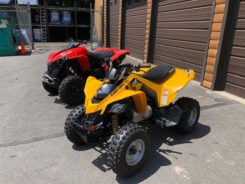 2017 Can-Am DS 250 in Wallingford, Connecticut - Photo 1
