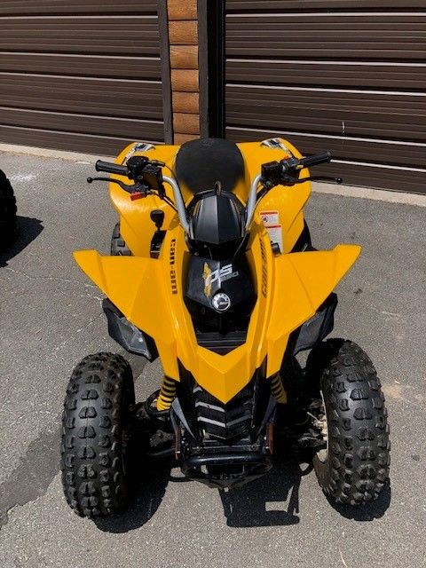 2017 Can-Am DS 250 in Wallingford, Connecticut - Photo 3