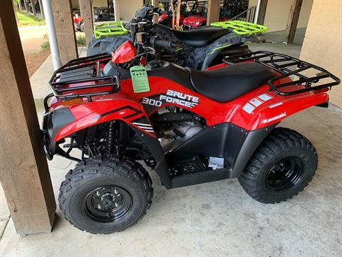 2024 Kawasaki Brute Force 300 in Ridgeland, Mississippi - Photo 1