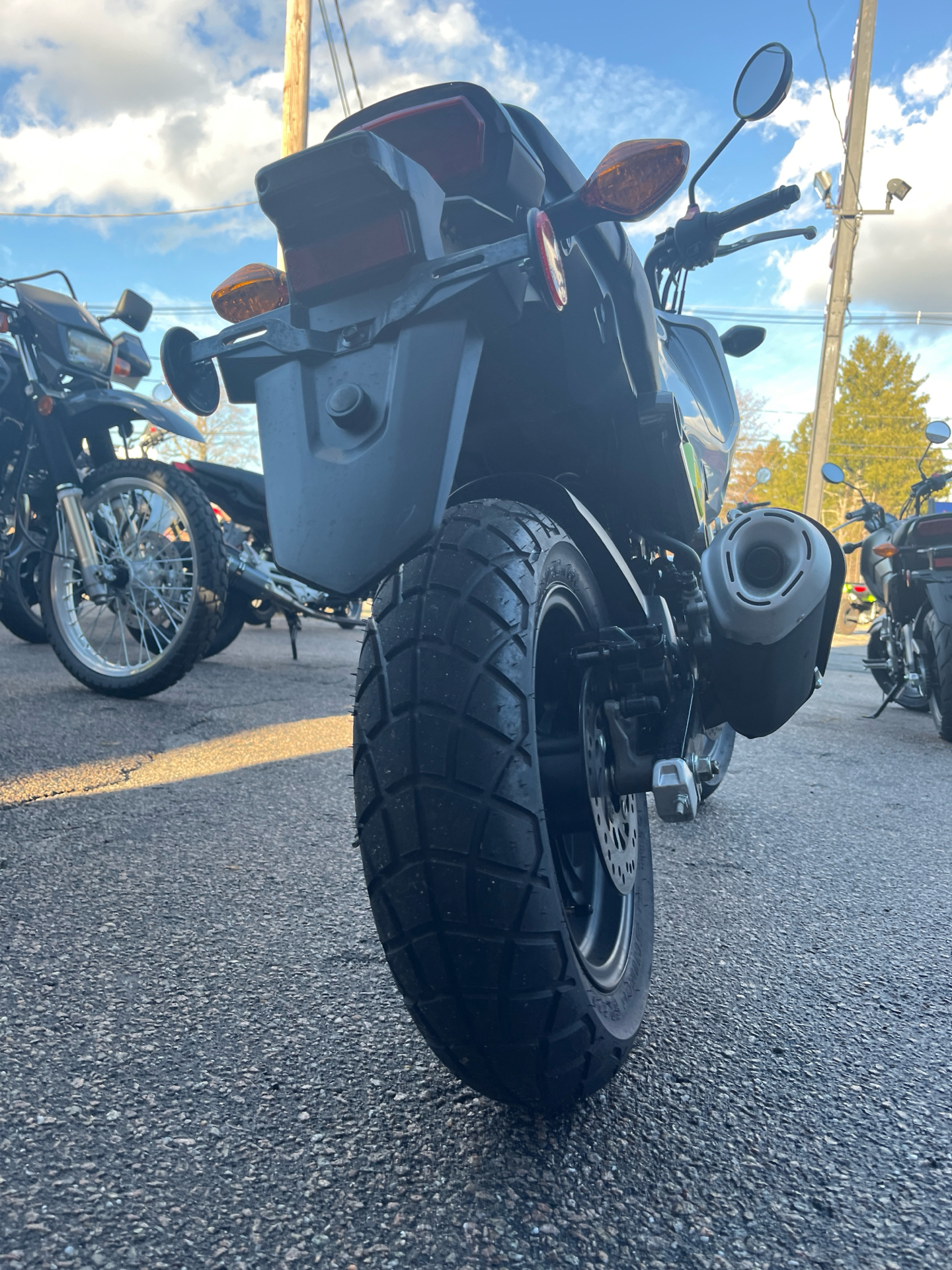 2023 Honda Grom in West Bridgewater, Massachusetts - Photo 5