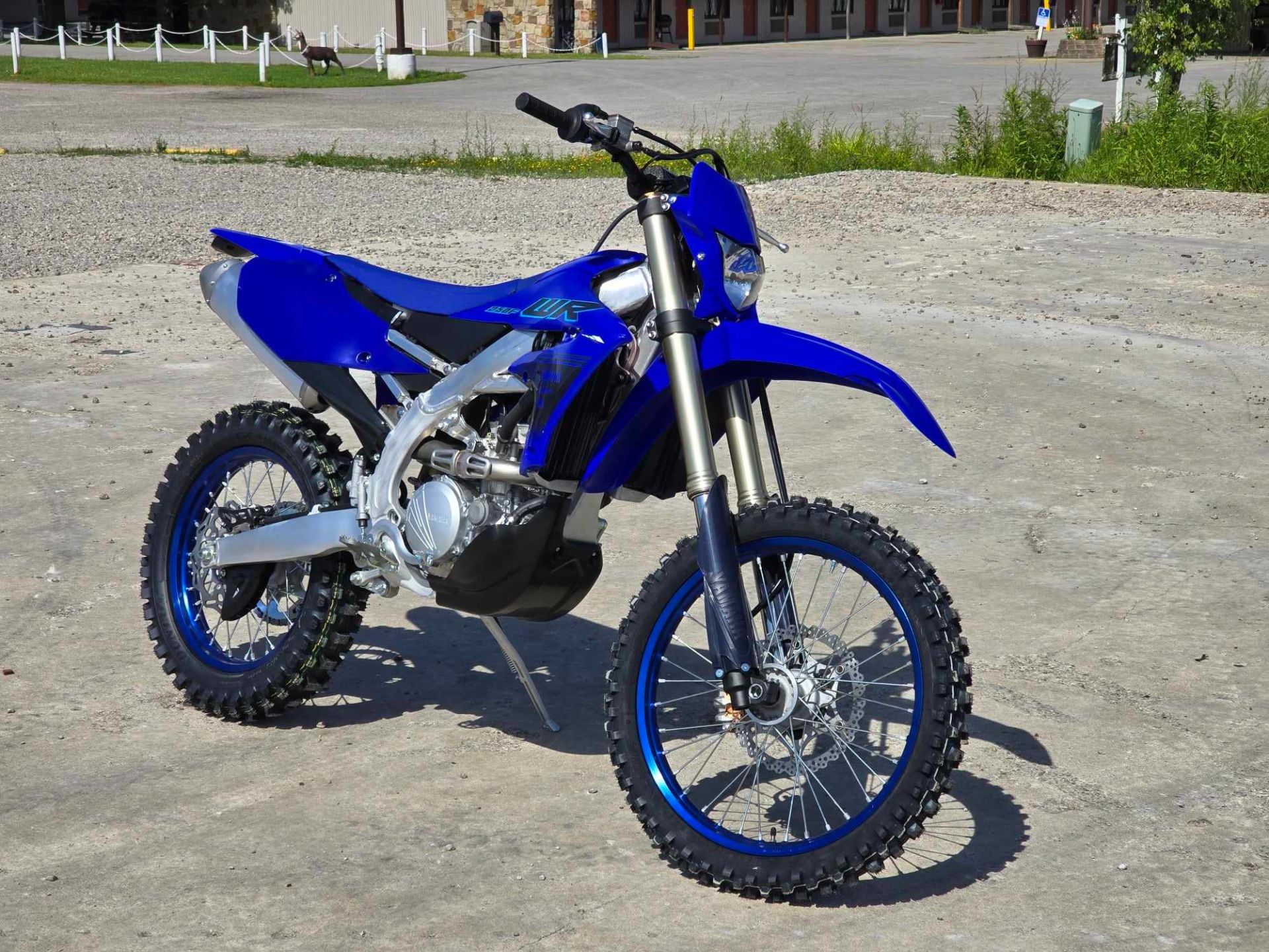 2024 Yamaha WR250F in Cambridge, Ohio - Photo 1