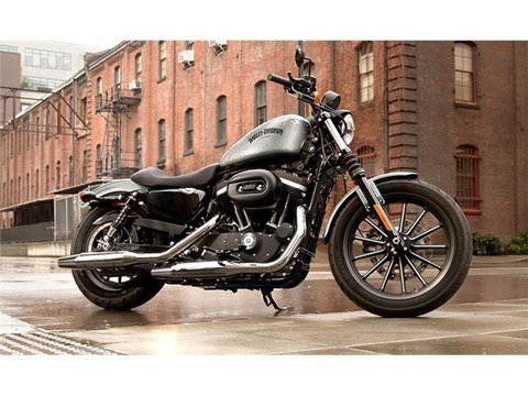 2015 Harley-Davidson Iron 883™ in Auburn, Washington - Photo 5