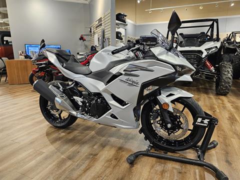2024 Kawasaki Ninja 500 ABS in Jackson, Missouri - Photo 6
