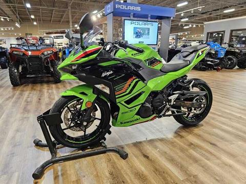 2024 Kawasaki Ninja 500 KRT Edition in Jackson, Missouri - Photo 1