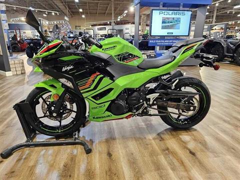 2024 Kawasaki Ninja 500 KRT Edition in Jackson, Missouri - Photo 2