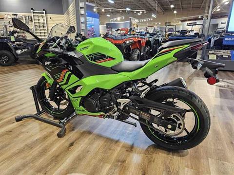 2024 Kawasaki Ninja 500 KRT Edition in Jackson, Missouri - Photo 3