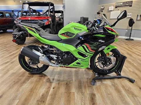 2024 Kawasaki Ninja 500 KRT Edition in Jackson, Missouri - Photo 6