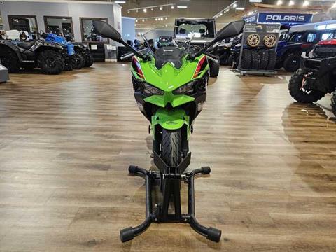 2024 Kawasaki Ninja 500 KRT Edition in Jackson, Missouri - Photo 8