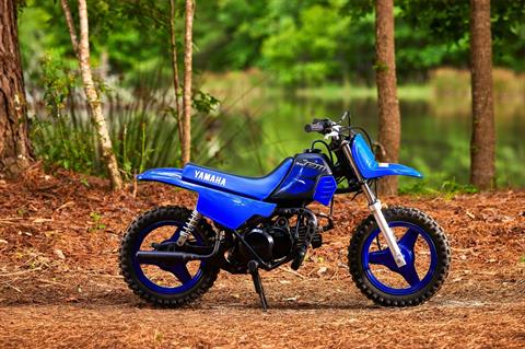 2023 Yamaha PW50 in Clearwater, Florida - Photo 11