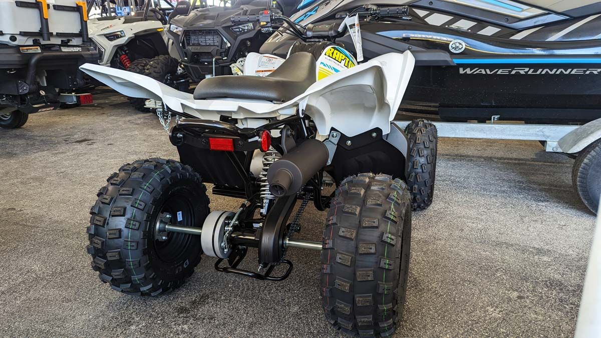 2023 Yamaha Raptor 90 in Clearwater, Florida - Photo 9
