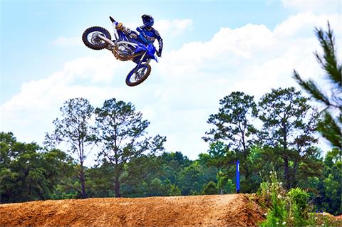 2022 Yamaha YZ250F in Clearwater, Florida - Photo 2