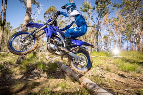 2023 Yamaha WR250F in Clearwater, Florida - Photo 5
