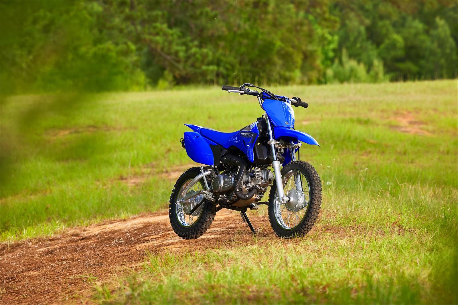 2023 Yamaha TT-R110E in Clearwater, Florida - Photo 12