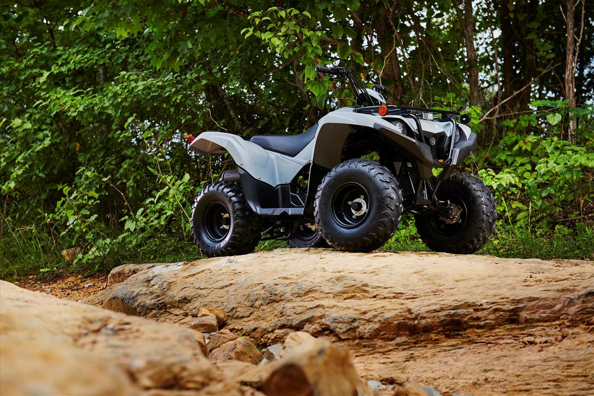 2022 Yamaha Grizzly 90 in Clearwater, Florida - Photo 11