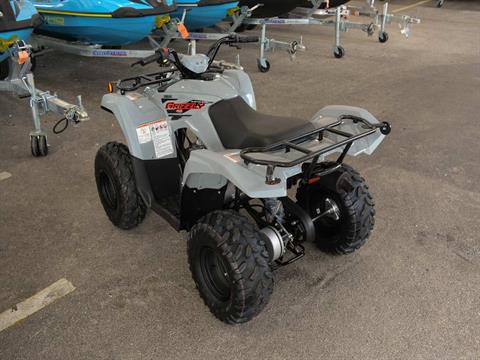 2022 Yamaha Grizzly 90 in Clearwater, Florida - Photo 9