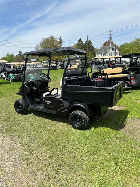 2023 Cushman Hauler 1200 EFI Gas in Binghamton, New York - Photo 3