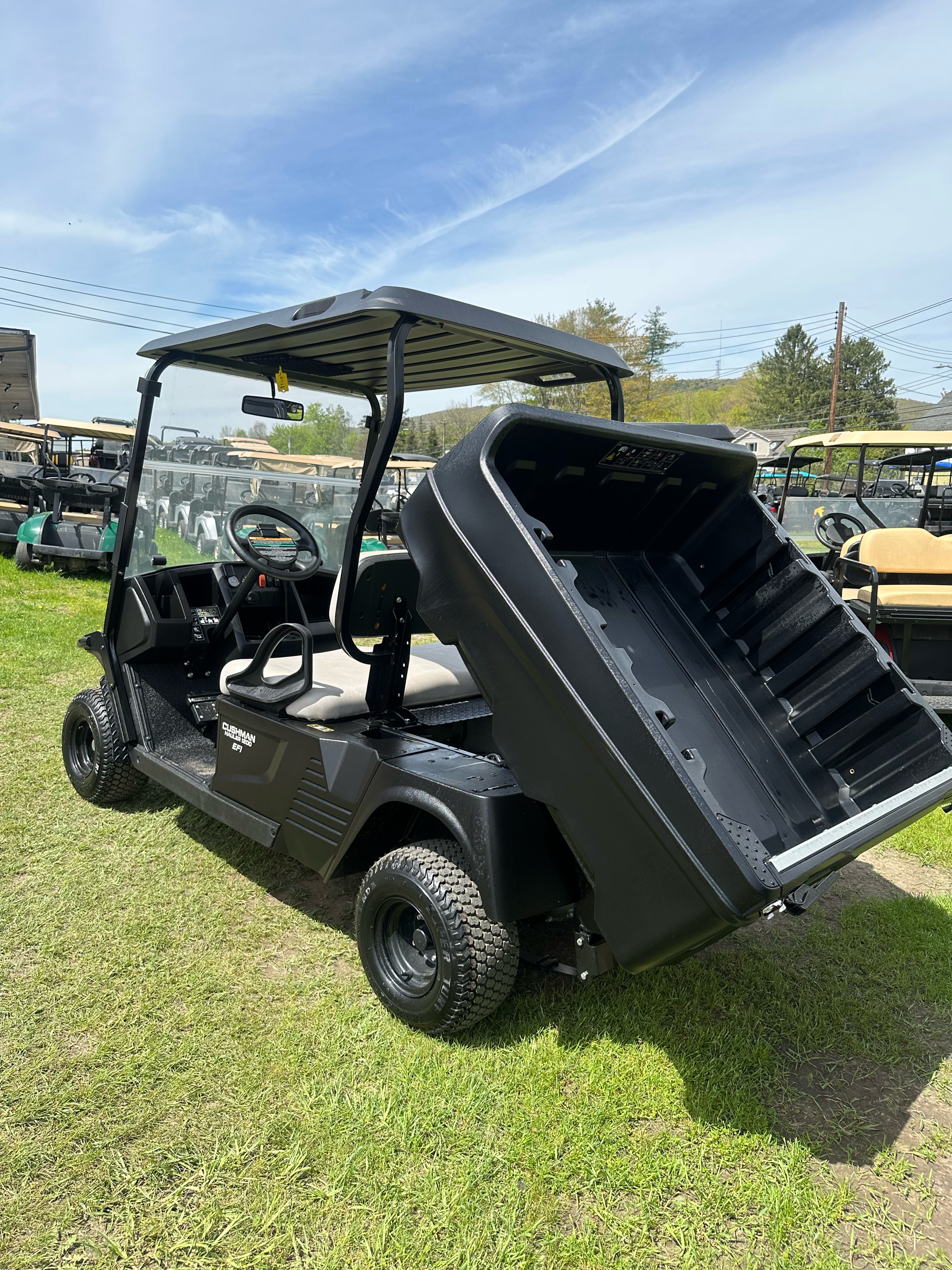 2023 Cushman Hauler 1200 EFI Gas in Binghamton, New York - Photo 6