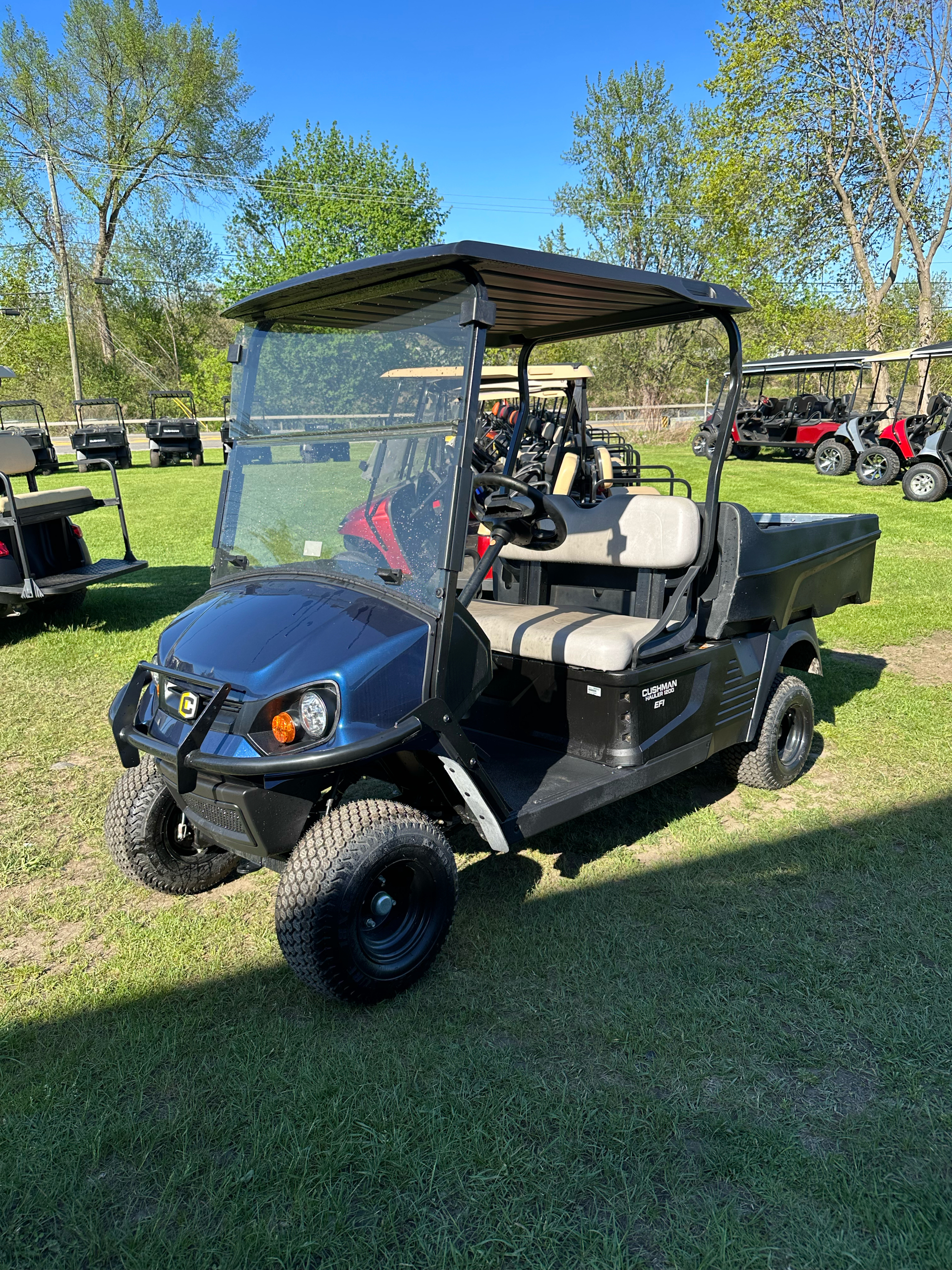 2023 Cushman Hauler 1200 EFI Gas in Binghamton, New York - Photo 1