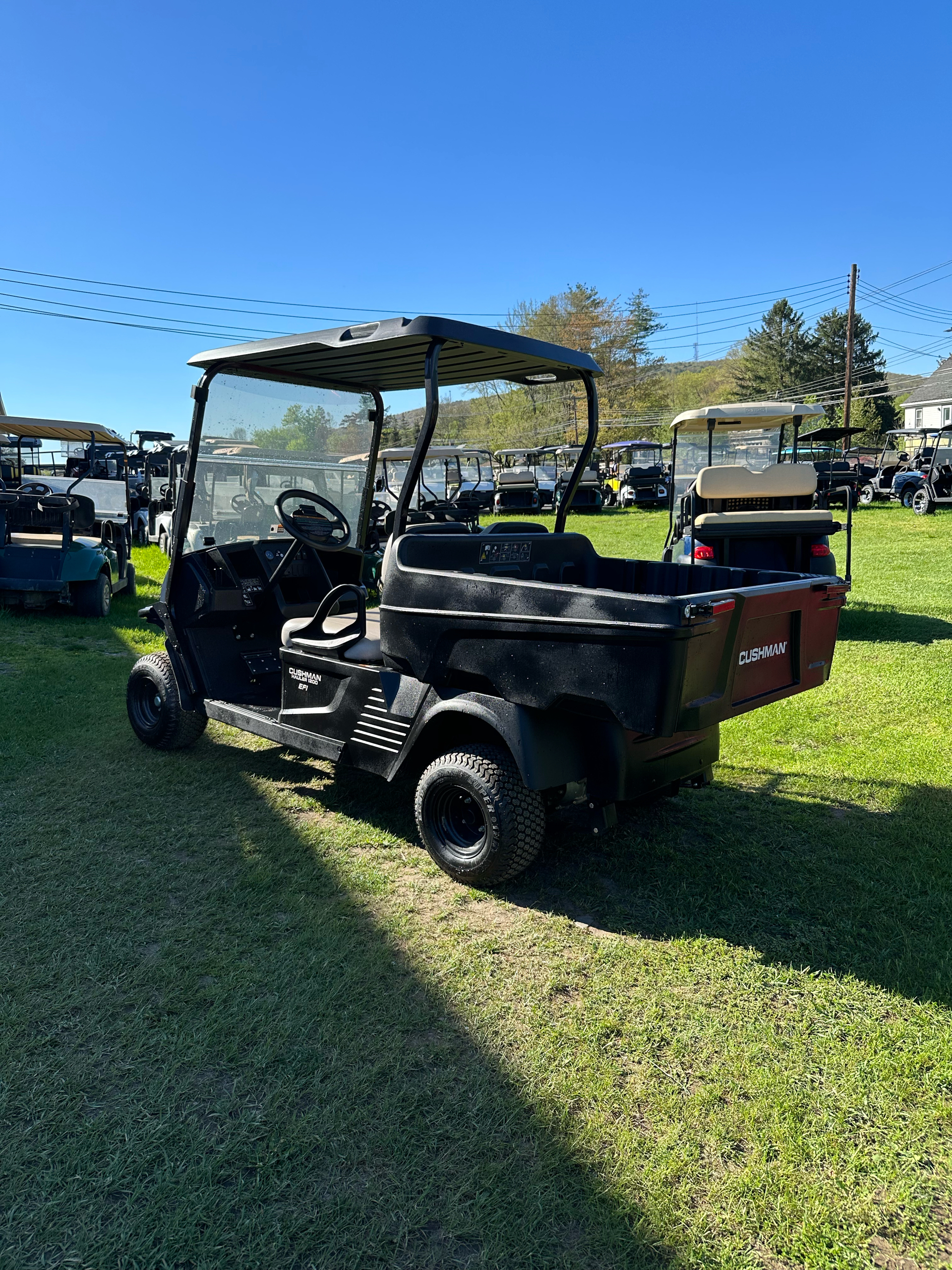 2023 Cushman Hauler 1200 EFI Gas in Binghamton, New York - Photo 3