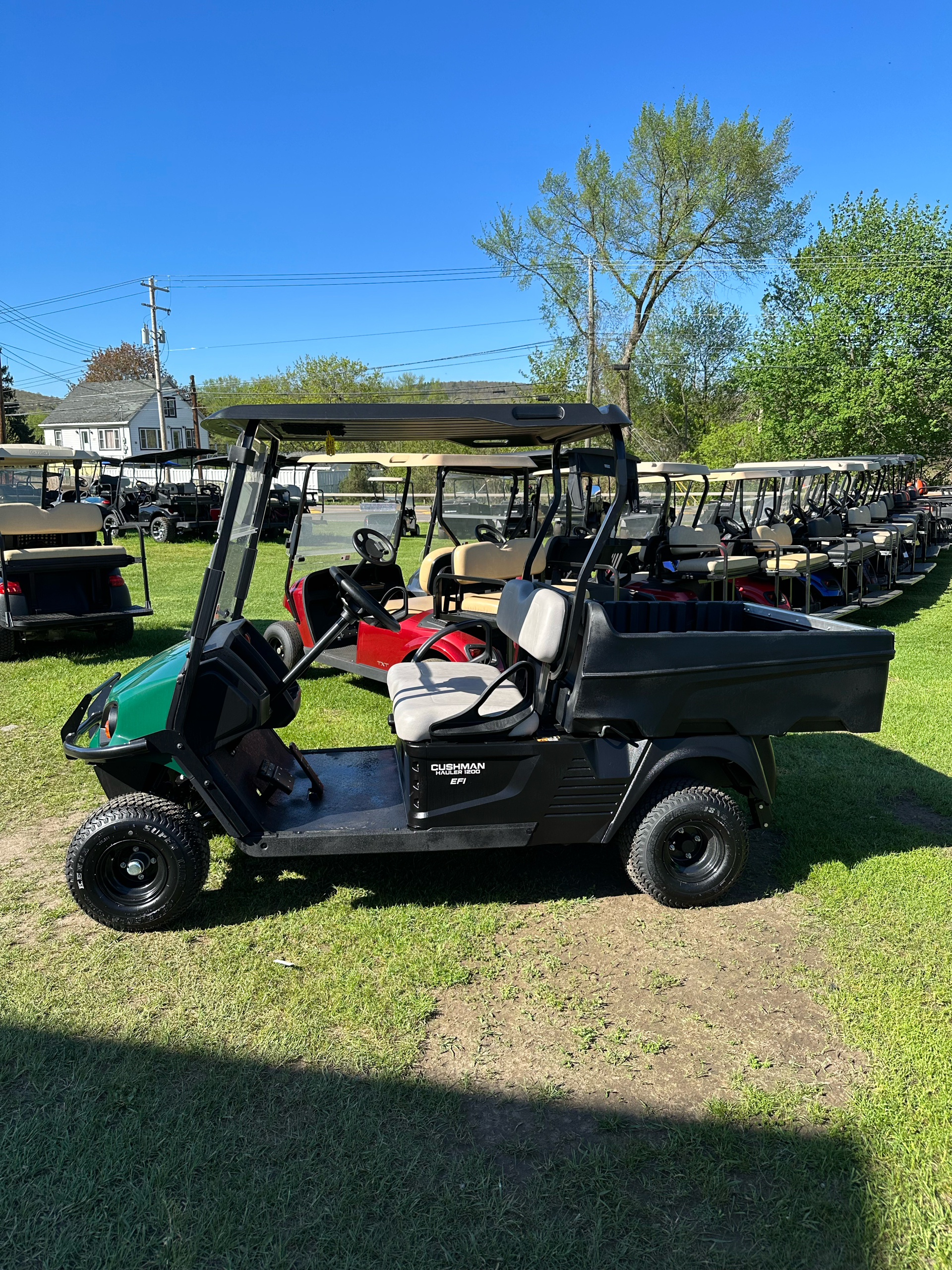 2023 Cushman Hauler 1200 EFI Gas in Binghamton, New York - Photo 2