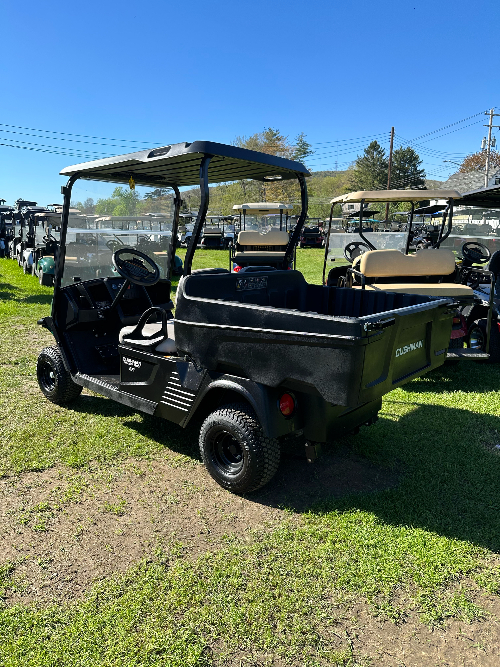 2023 Cushman Hauler 1200 EFI Gas in Binghamton, New York - Photo 3