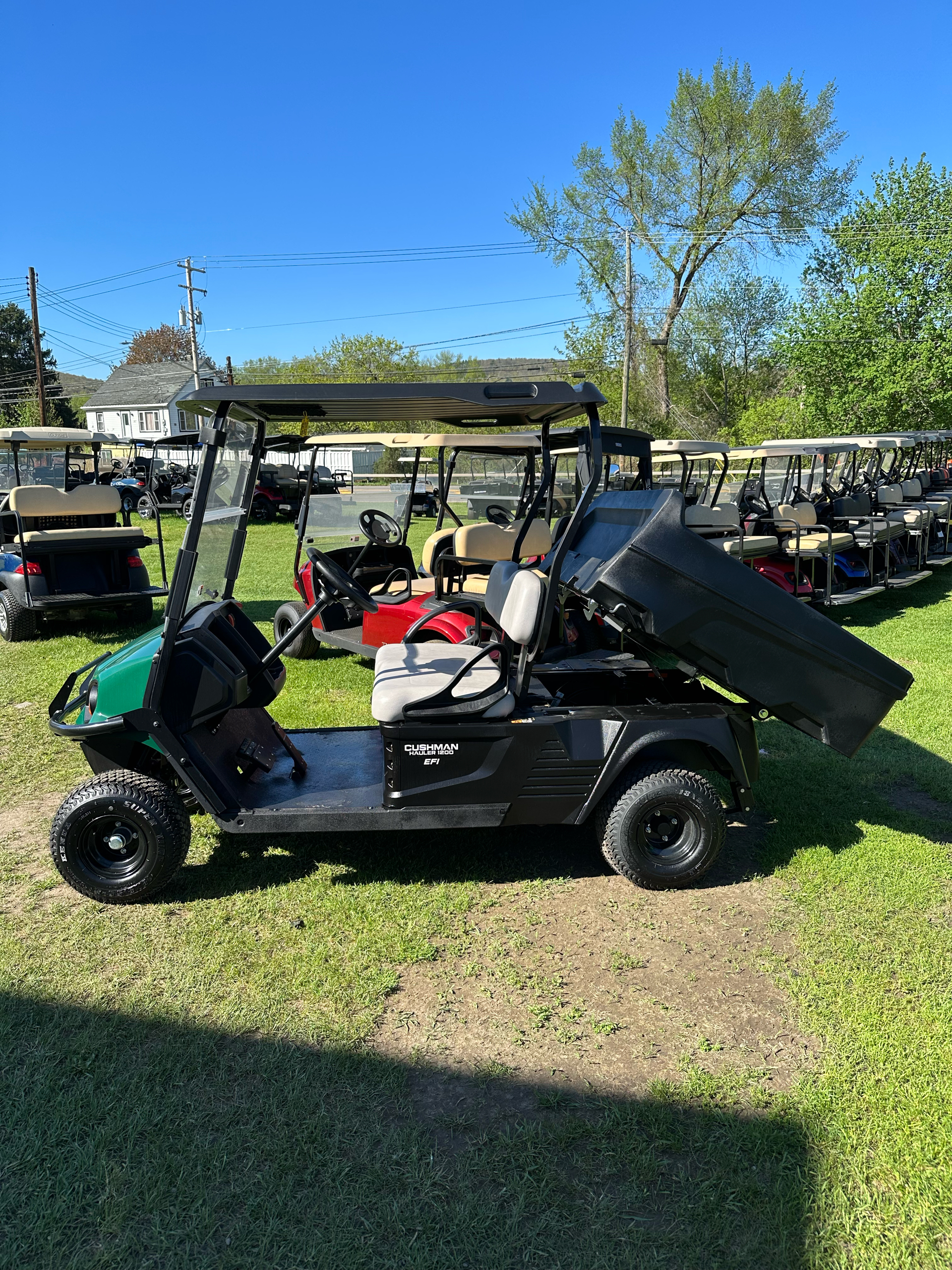 2023 Cushman Hauler 1200 EFI Gas in Binghamton, New York - Photo 5