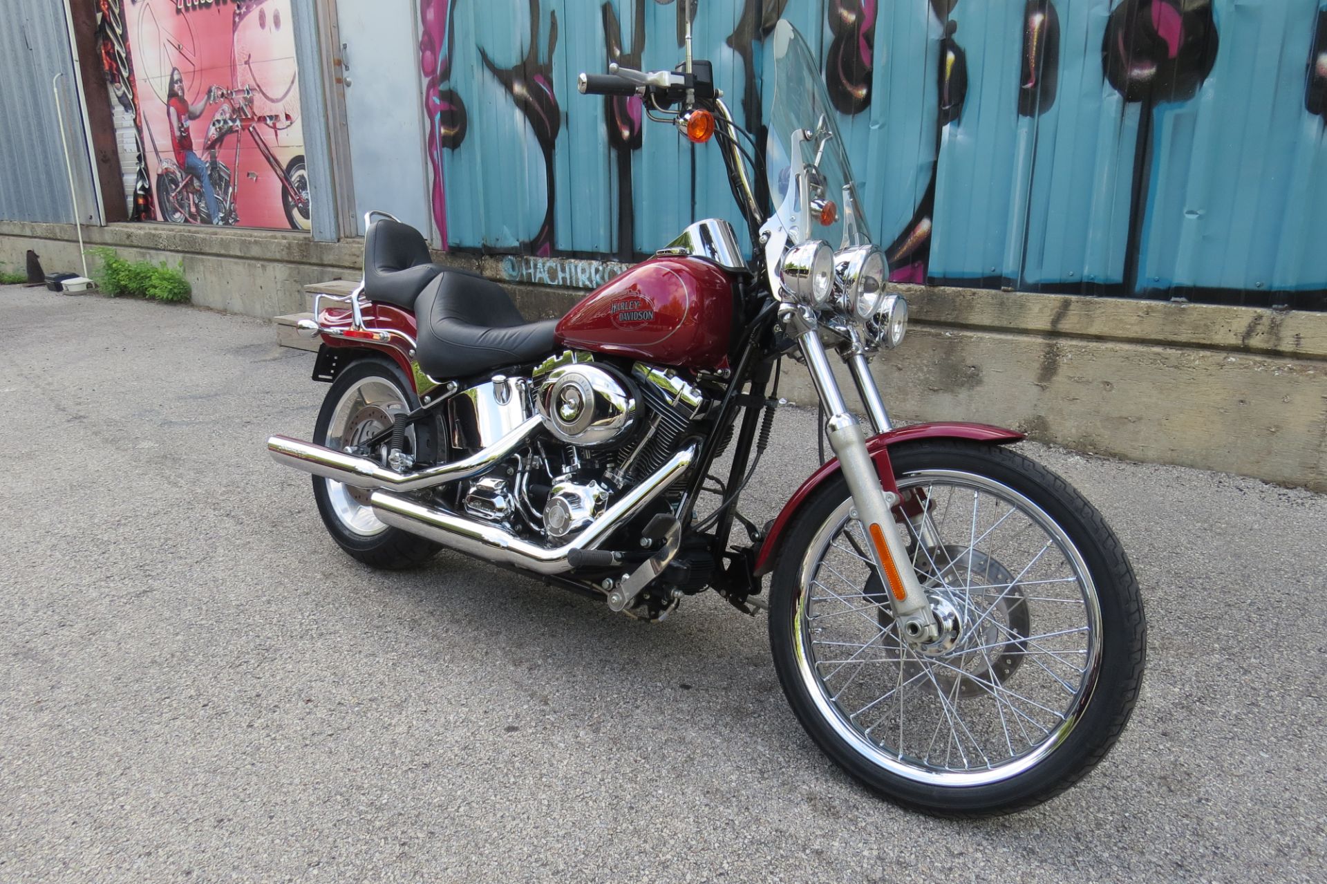 2007 Harley-Davidson Softail® Custom in Dallas, Texas - Photo 2
