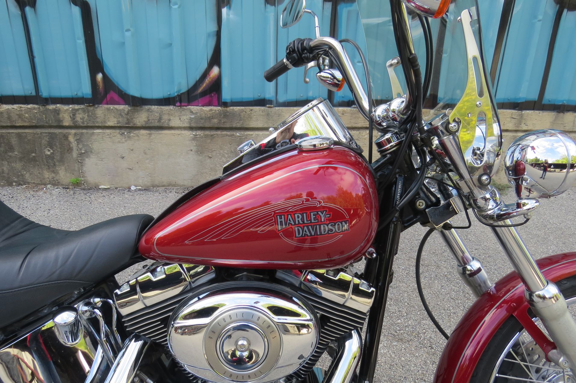 2007 Harley-Davidson Softail® Custom in Dallas, Texas - Photo 5