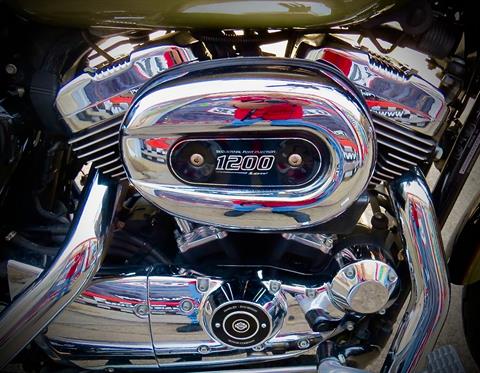2007 Harley-Davidson Sportster® 1200 Low in Dallas, Texas - Photo 10