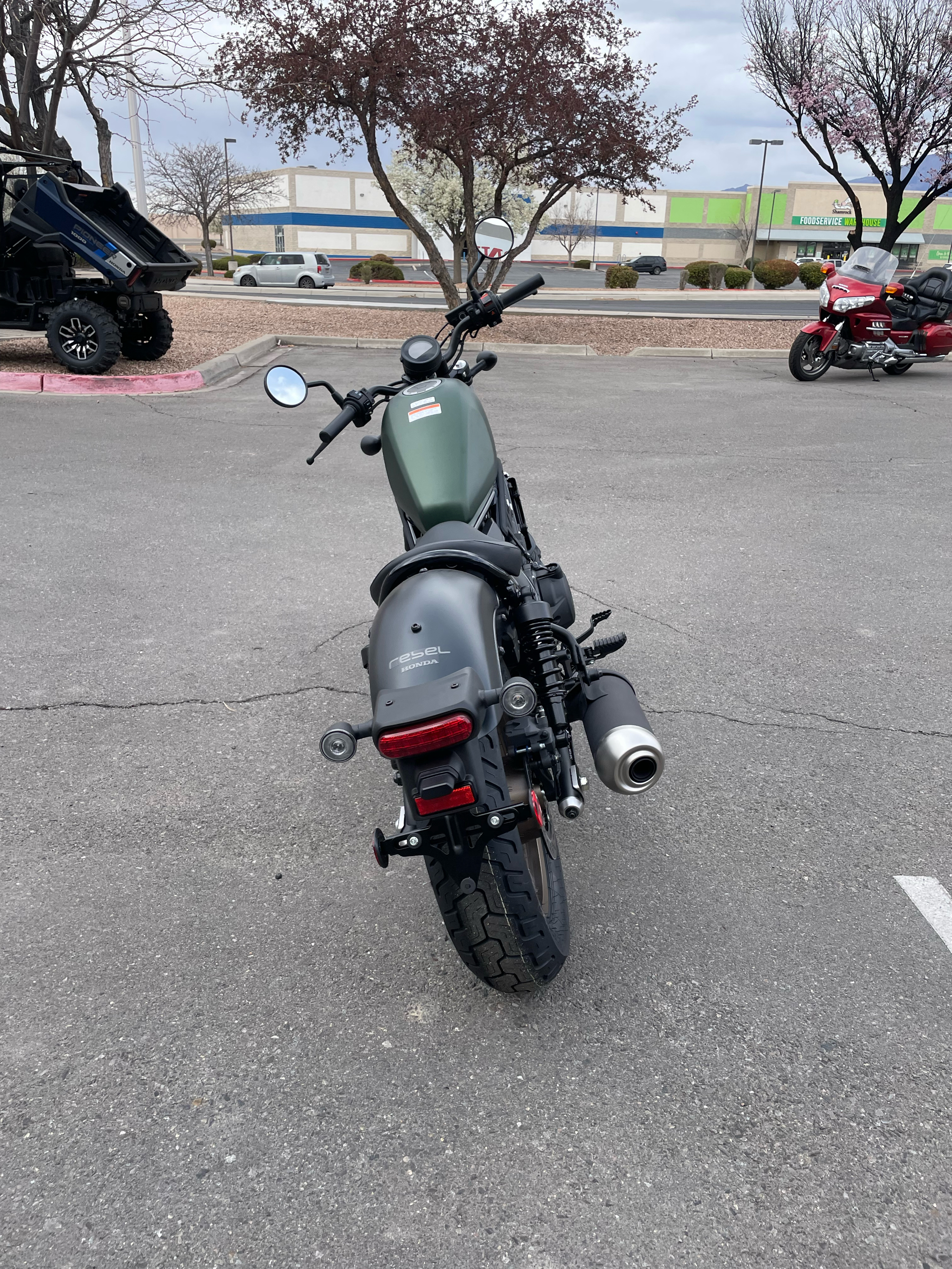 2024 Honda Rebel 500 in Albuquerque, New Mexico - Photo 6