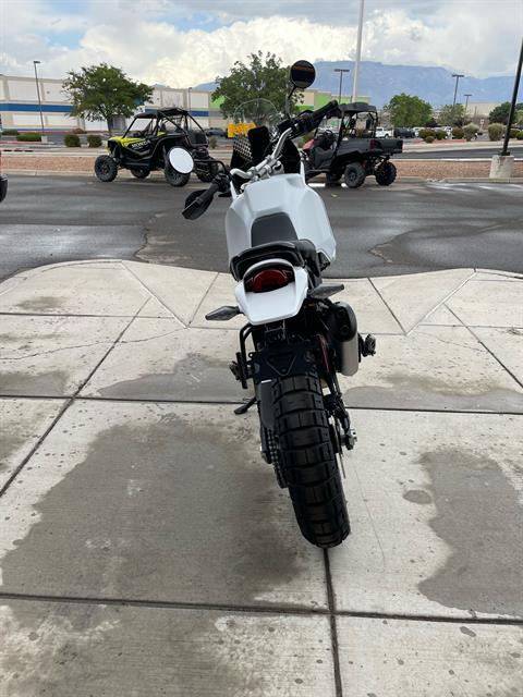 2024 Ducati DesertX in Albuquerque, New Mexico - Photo 6