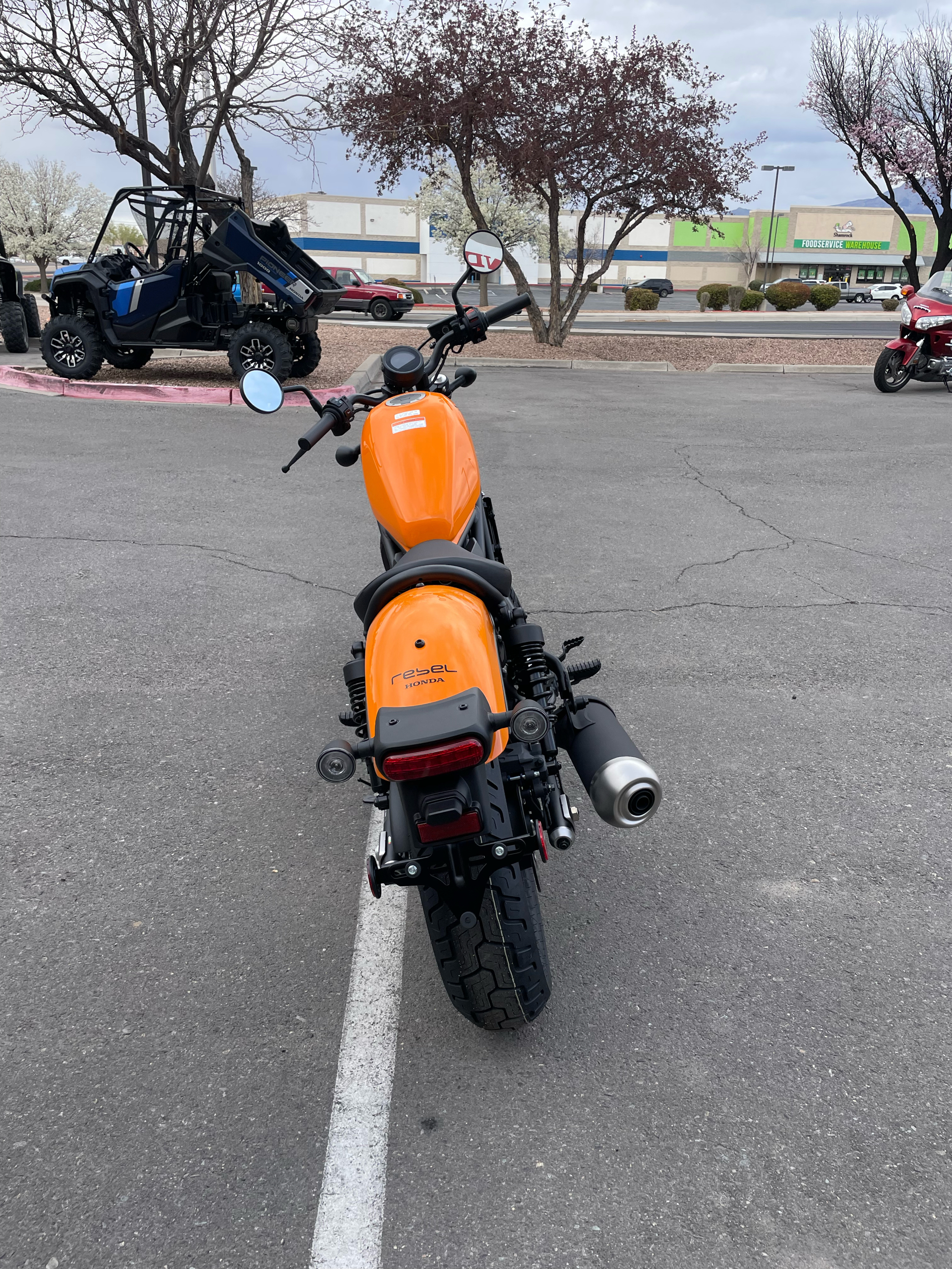 2024 Honda Rebel 300 in Albuquerque, New Mexico - Photo 6