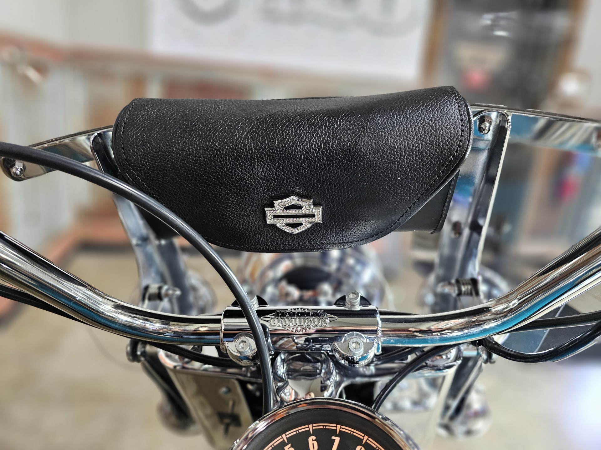 2017 Harley-Davidson Heritage Softail® Classic in Chippewa Falls, Wisconsin - Photo 13