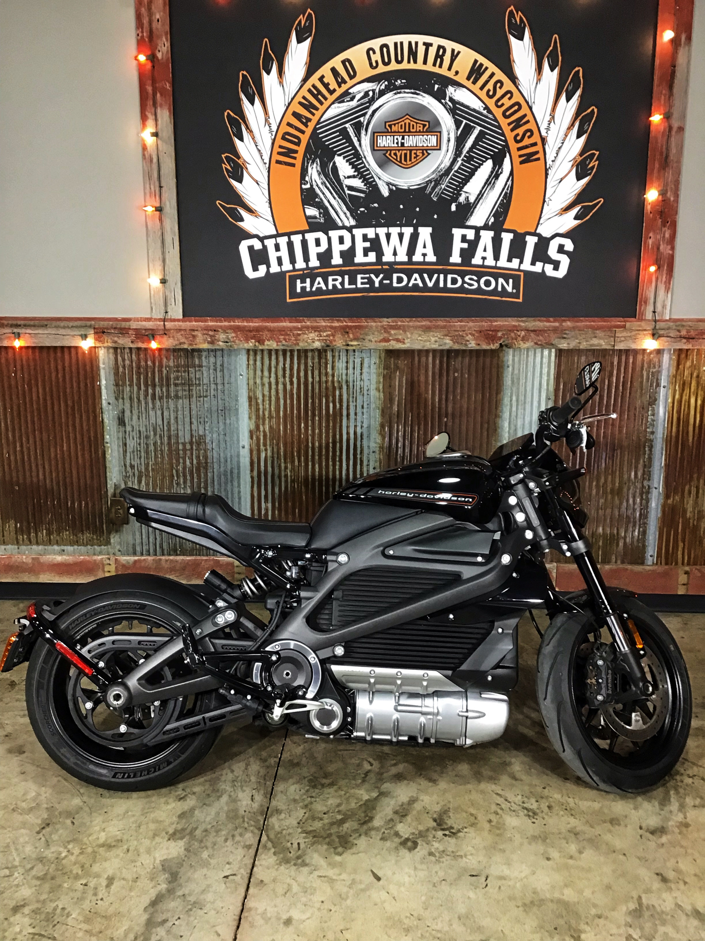 2020 Harley-Davidson Livewire™ in Chippewa Falls, Wisconsin - Photo 2