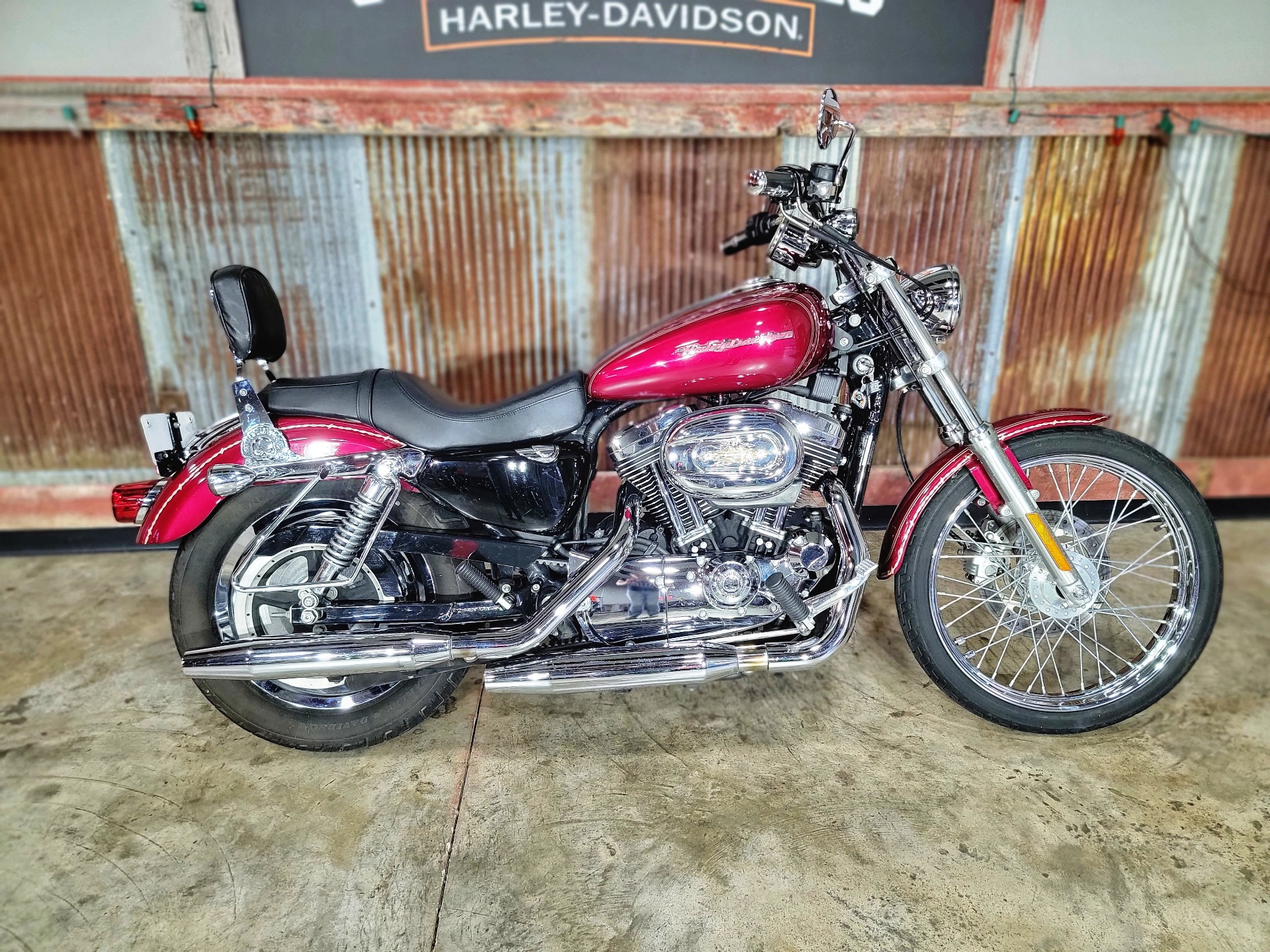 2004 Harley-Davidson Sportster® XL 1200 Custom in Chippewa Falls, Wisconsin - Photo 1