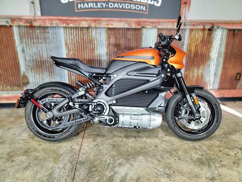2020 Harley-Davidson Livewire™ in Chippewa Falls, Wisconsin - Photo 1