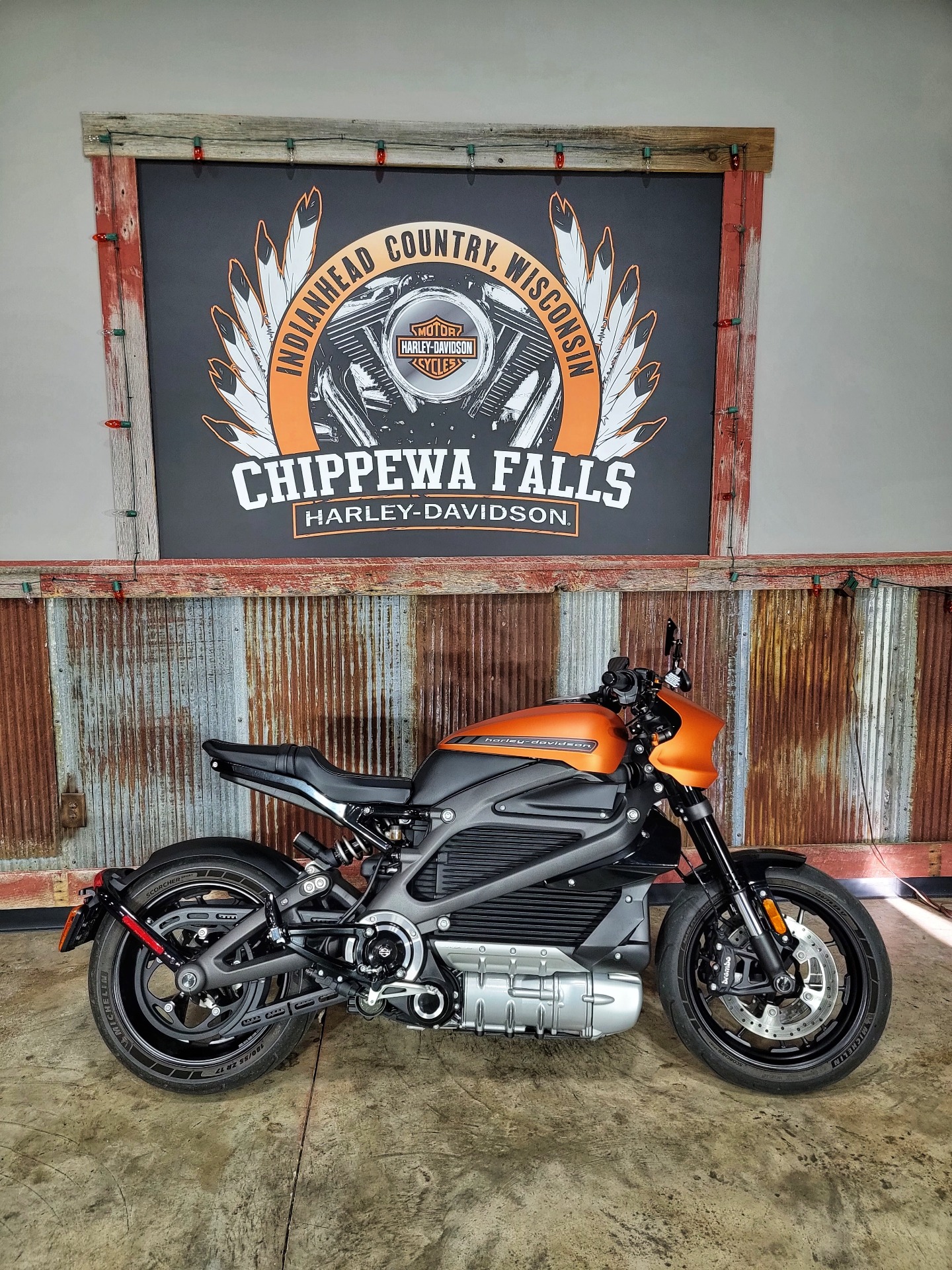 2020 Harley-Davidson Livewire™ in Chippewa Falls, Wisconsin - Photo 2