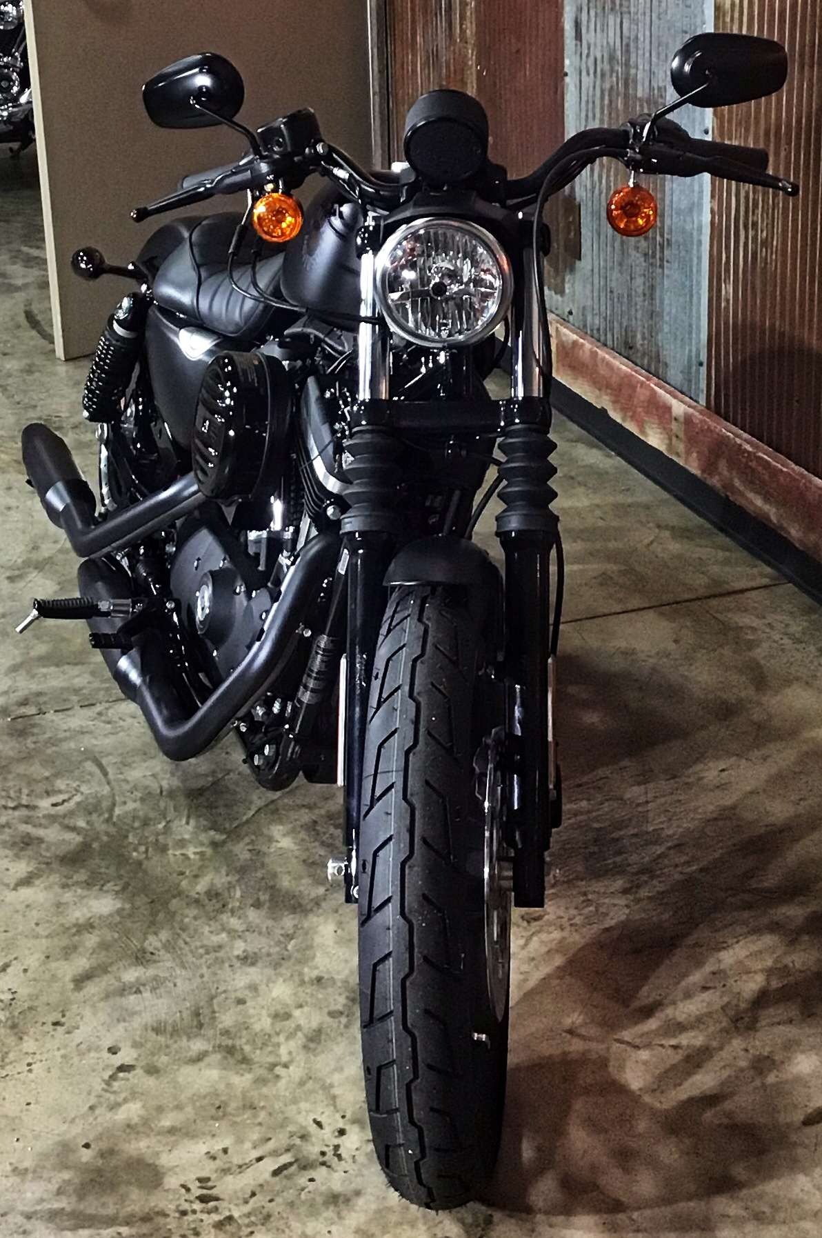 2022 Harley-Davidson Iron 883™ in Chippewa Falls, Wisconsin - Photo 3