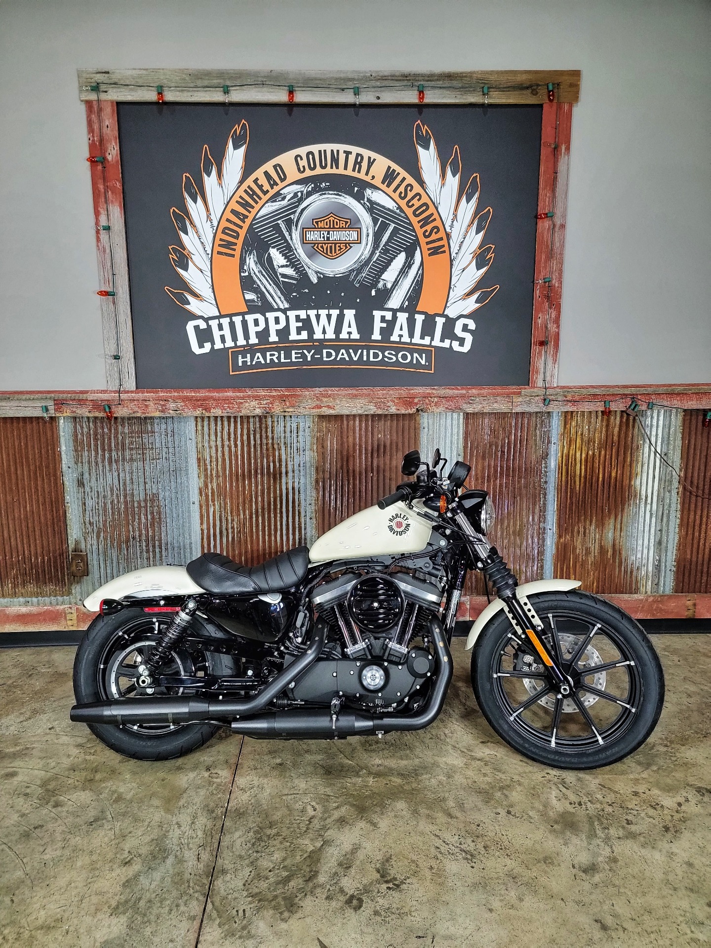 2022 Harley-Davidson Iron 883™ in Chippewa Falls, Wisconsin - Photo 2