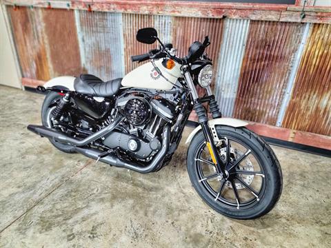 2022 Harley-Davidson Iron 883™ in Chippewa Falls, Wisconsin - Photo 4