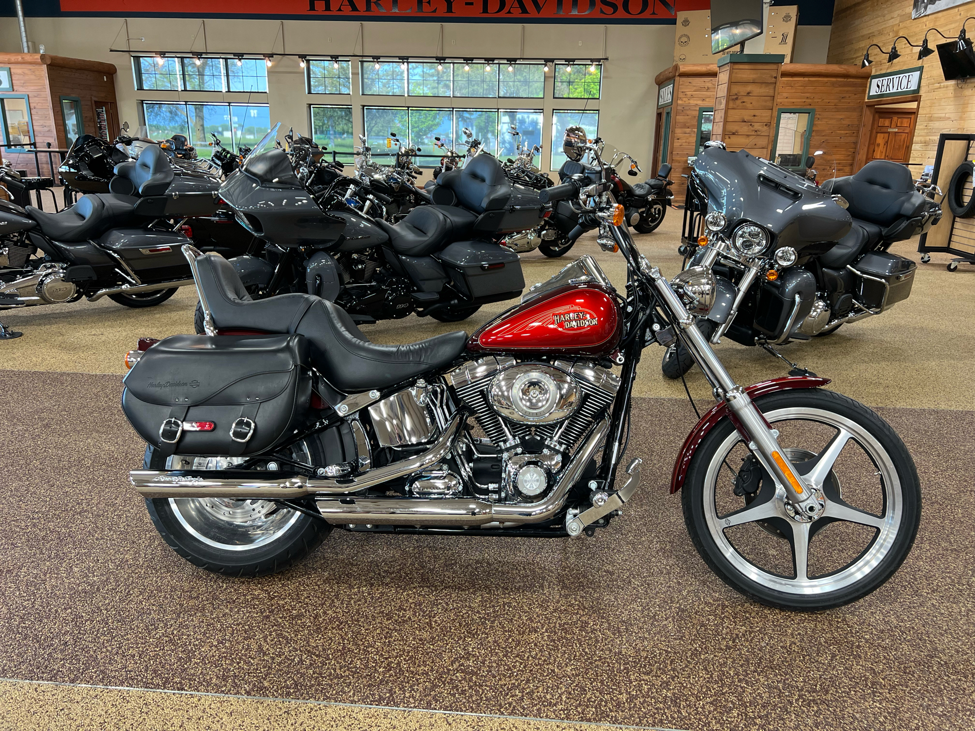 2008 Harley-Davidson FXSTC Softail® Custom in Sauk Rapids, Minnesota - Photo 1