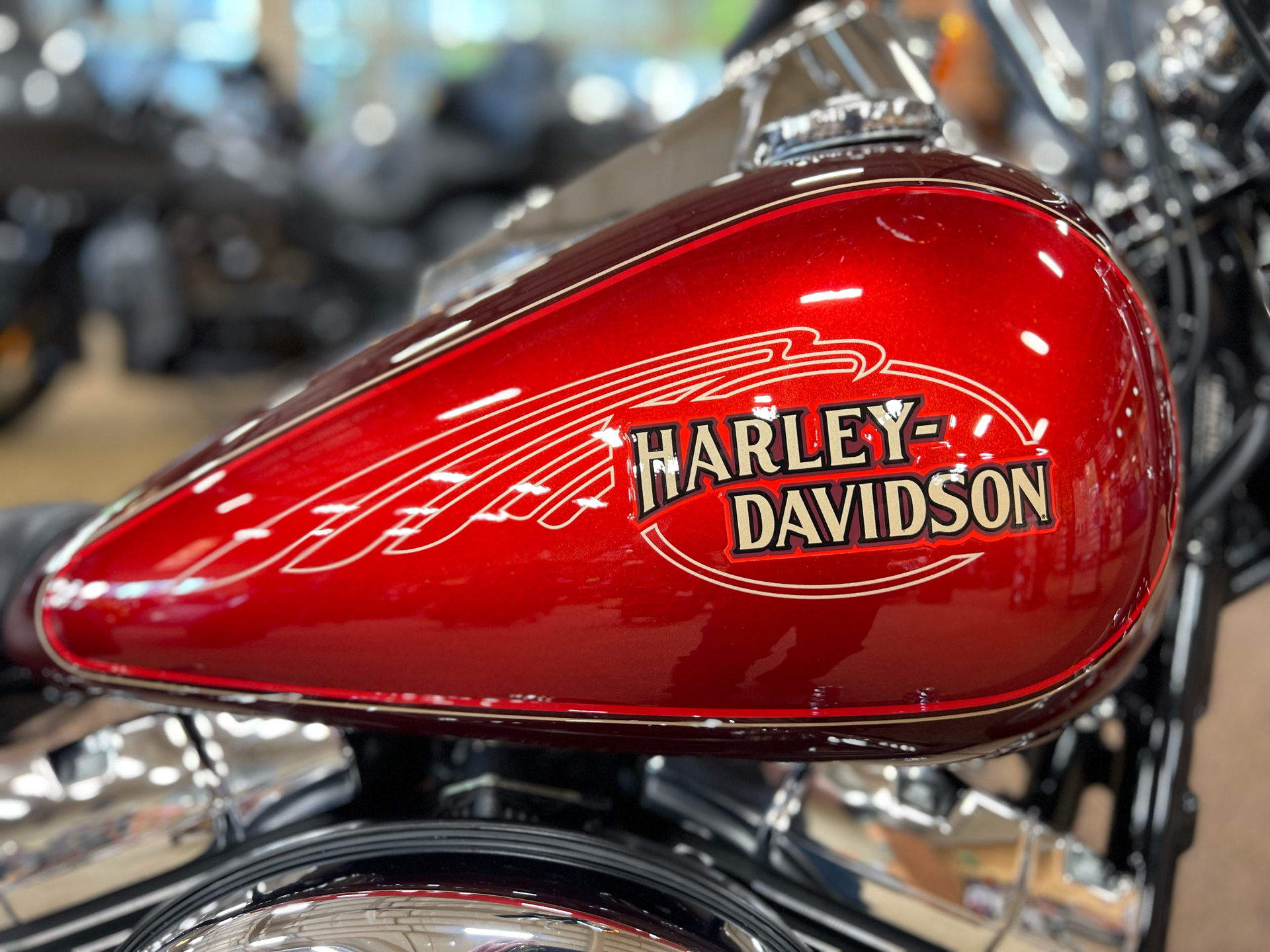 2008 Harley-Davidson FXSTC Softail® Custom in Sauk Rapids, Minnesota - Photo 3