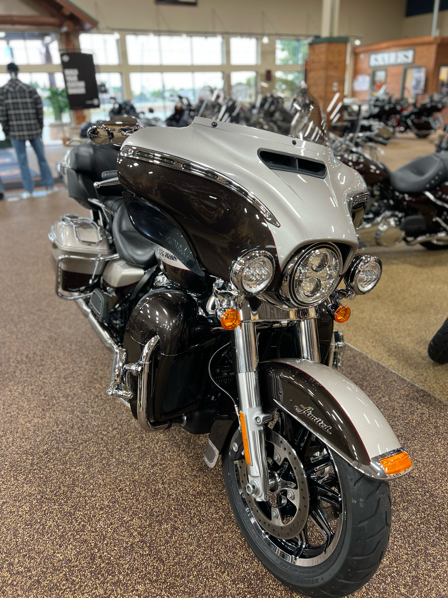 2018 Harley-Davidson Ultra Limited in Sauk Rapids, Minnesota - Photo 4