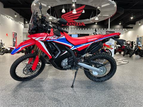 2024 Honda CRF300L Rally ABS in Fairview Heights, Illinois - Photo 1