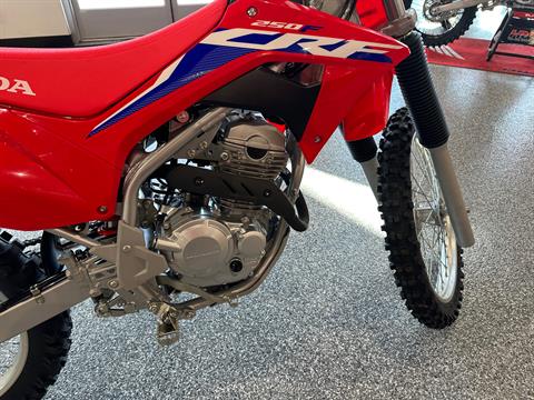 2024 Honda CRF250F in Fairview Heights, Illinois - Photo 5